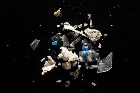 Now is the time for lawmakers to care about microplastics - PHYS.org | Agents of Behemoth | Scoop.it