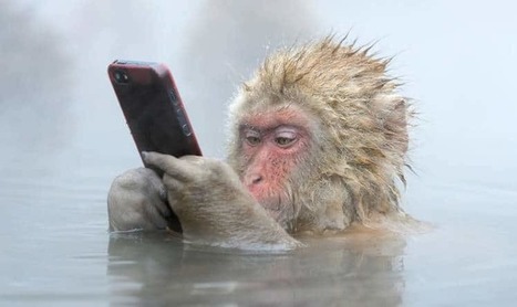 The Monkey Mind Disruption &ndash; Part 2 | Emotional Health & Creative People | Scoop.it