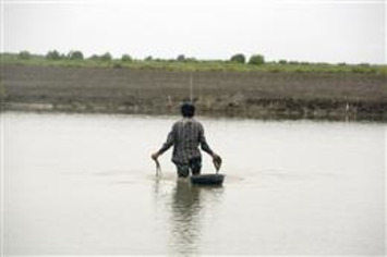 Developing Climate Change Resilience :: The Rockefeller Foundation | Philanthropy Report - Legacy From The Heart | Scoop.it