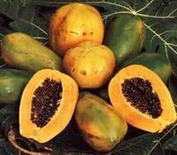 Alerte à la papaye thaïe génétiquement modifiée | Toxique, soyons vigilant ! | Scoop.it