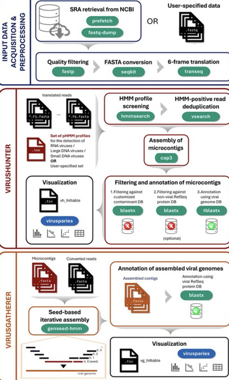 Data-Driven Virus Discovery with Virushunter and Virusgatherer | nar | RMH | Scoop.it