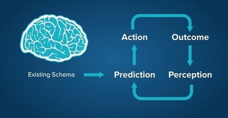What the perception-action cycle tells us about how the brain learns | Creative teaching and learning | Scoop.it
