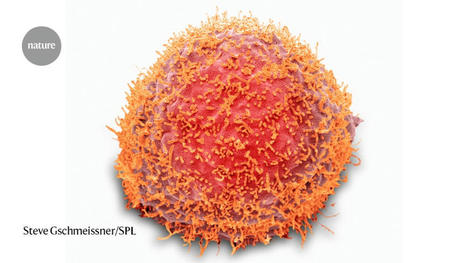 Did Flu Come from Fish? Genetics Points to Influenza&rsquo;s Aquatic Origin | Amazing Science | Scoop.it