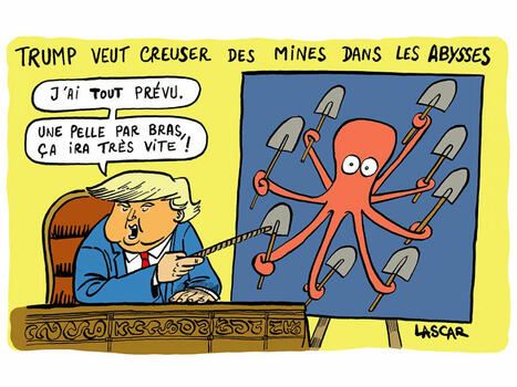 Décret pour exploiter les fonds marins : Trump au mépris du droit international | Planète DDurable | Scoop.it