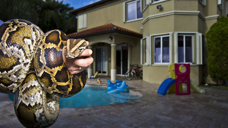 10 Weird Ways You Could Be Spreading Invasive Species | Rainforest CLASSROOM | Scoop.it