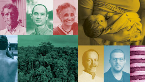 Levantamento mostra quem s&atilde;o os cientistas brasileiros que mais influenciam pol&iacute;ticas p&uacute;blicas | Inova&ccedil;&atilde;o Educacional | Scoop.it