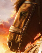 Cheval de Guerre : nouvelle bande-annonce ! - CineMovies | Cheval et Nature | Scoop.it