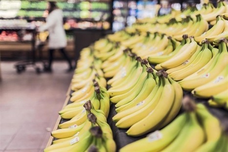 Andalucía aprueba la nueva Estrategia de Seguridad Alimentaria que reforzará los controles sanitarios y de consumo | Evaluación de Políticas Públicas - Actualidad y noticias | Scoop.it