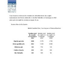 Dénombrements des couples reproducteurs des hérons arboricoles et des ibis falcinelles en Camargue (Tour du Valat) | Camargue Nature | Scoop.it