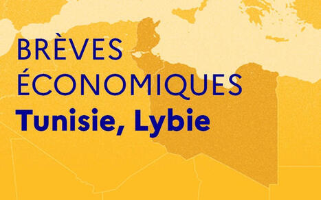 Br&egrave;ves &eacute;conomiques de Tunisie et de Libye - Semaine du 18 au 22 mai 2026 | Revue de Presse Afrique & PMO anglophone ou lusophone par service international de CCI Normandie | Scoop.it