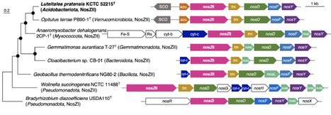 Global terrestrial distribution of N2O-reducing Acidobacteriota members | isme | RMH | Scoop.it
