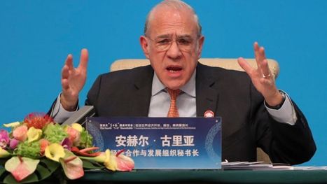 Global economy will suffer for years to come, says OECD | International Economics: IB Economics | Scoop.it