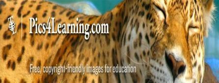 Millones de imágenes gratuitas para el aula | Educación, TIC y ecología | Scoop.it