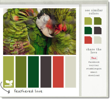 Las mejores webs para analizar colores | Educación, TIC y ecología | Scoop.it
