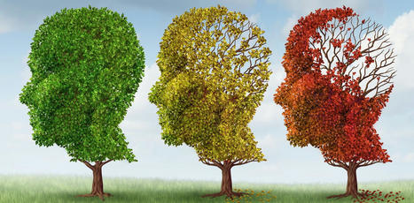 Pourquoi n&rsquo;avons-nous pas de traitements contre la maladie d&rsquo;Alzheimer&nbsp;? | Accompagnement, Social & Sant&eacute; | Scoop.it