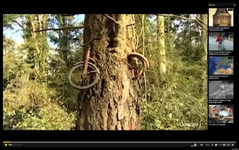 Un vélo englouti par un arbre | Merveilles - Marvels | Scoop.it