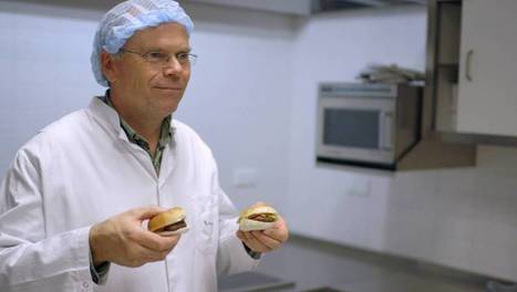 La viande in vitro bientôt dans nos assiettes ? (présentation de l'émission sur Arte, prochaine diffusion 23 octobre) | La Gazette des abattoirs | Scoop.it