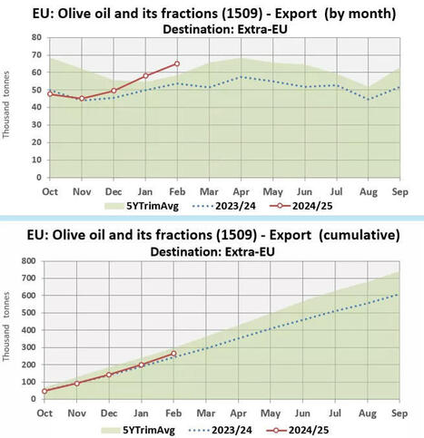 Consumi ed export di olio di oliva sopra le aspettative nei primi mesi del 2025 | OLIVE NEWS | Scoop.it