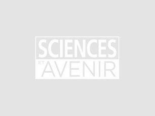 Un programme de sauvegarde pour les derniers visons d'Europe - Sciencesetavenir.fr | Biodiversité | Scoop.it
