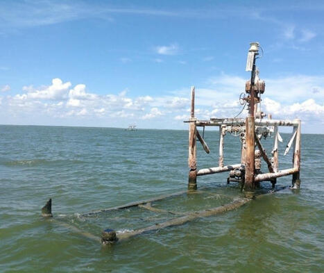 US earmarks $15 million to tackle methane menace posed by abandoned oil & gas wells - Offshore Energy | Operation Deimos | Scoop.it