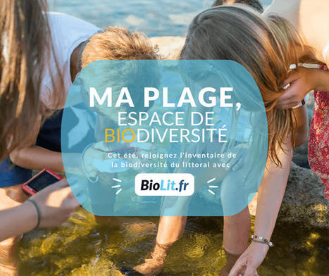 BioLit, un programme national de science participative sur la biodiversité littorale | Biodiversité | Scoop.it