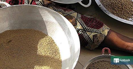 Local Grains Promote Food Sovereignty in West AFRICA: “This Is the Future of Baking” | CIHEAM Press Review | Scoop.it