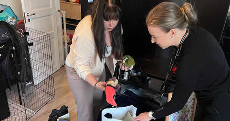 &rdquo;Folk har mer prylar &auml;n de klarar av&rdquo; &ndash; v&aring;rt &ouml;verfl&ouml;d skapade en ny yrkesgrupp | V&auml;stnyland | 1Uutiset - Lukemisen t&auml;hden | Scoop.it