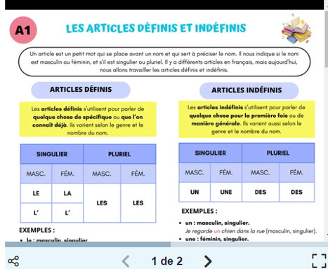 1º- LES ARTICLES DÉFINIS ET INDÉFINIS | POURQUOI PAS... EN FRANÇAIS ? | Scoop.it