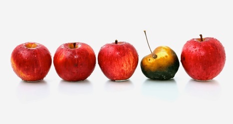 Leadership: The strange problem of an efficient team member | Transformational Leadership | Scoop.it