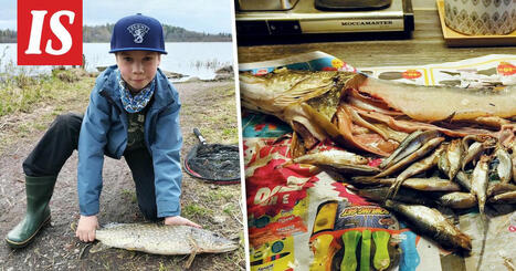 Patrikilla, 9, kävi kalaonni – hauen sisältä paljastui uusi saalis | 1Uutiset - Lukemisen tähden | Scoop.it