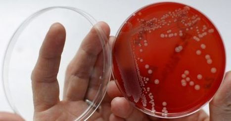 Scientists Created Artificial Molecules to Fight Against Superbugs | IELTS, ESP, EAP and CALL | Scoop.it
