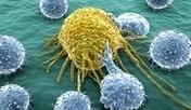 New tool helps identify lung cancer patients who will respond to immune therapies > Yale Cancer Center | Yale School of Medicine | Immunology and Biotherapies | Scoop.it