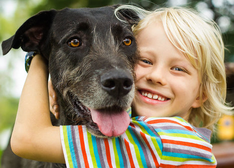 Les gens léchés par leur chien vous dégoûtent ? Ils ont pourtant un meilleur système immunitaire que vous | Koter Info - La Gazette de LLN-WSL-UCL | Scoop.it
