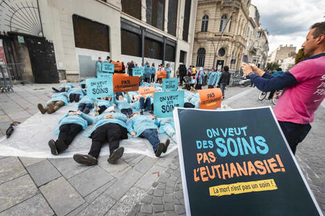 Fin de vie : Alliance Vita mobilisée à Pau « contre l’euthanasie » - La République des Pyrénées.fr | Dépendance et fin de vie | Scoop.it