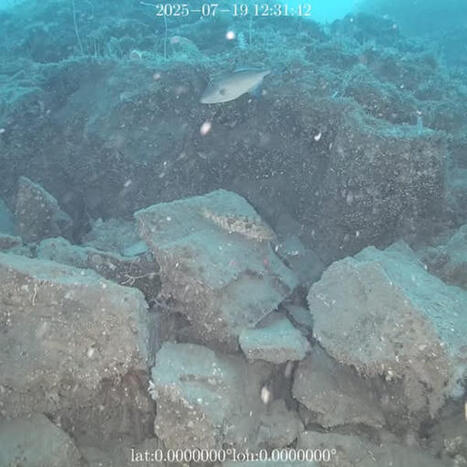 金沢大学 - 【研究ニュース】金沢大学の研究成果をお届けします。... | Nancy, Lorraine | Scoop.it