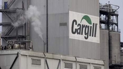 Cargill voit ses bénéfices chuter | Mélanges technologiques pour la charcuterie | Scoop.it