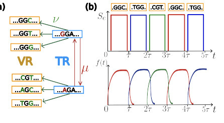 Evolutionary Advantage of Diversity-Generating Retroelements in Switching Environments | brve | RMH | Scoop.it