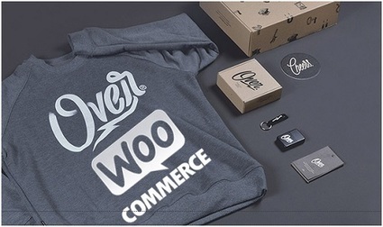 53 Plugins WordPress indispensables pour les sites web d&rsquo;entreprise en 2016 | WORDPRESS4You | Scoop.it