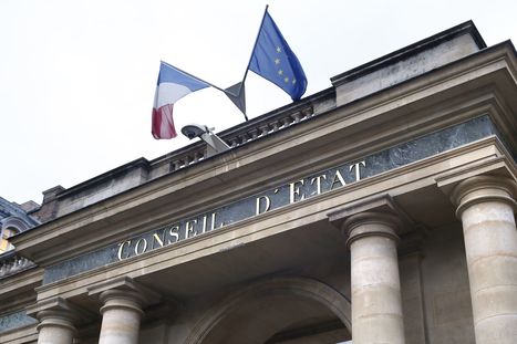 Conseil d'État : sept personnes trisomiques défendent leur droit à la parole | Famille et sexualité | Scoop.it