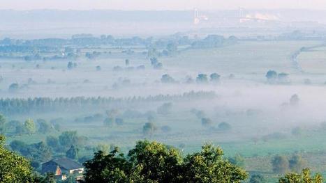 Cinq chiffres alarmants sur la préservation des milieux naturels en France | Biodiversité | Scoop.it