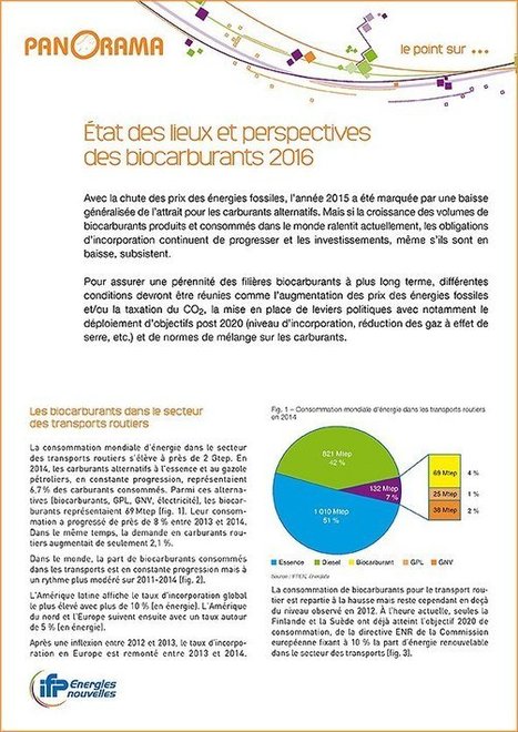 État des lieux et perspectives des biocarburants | DURABILITES | Scoop.it