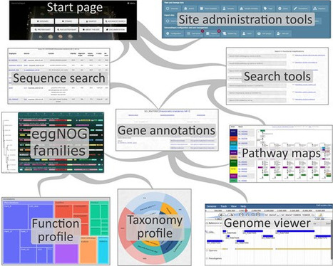 GenomeDepot: data management system for microbial comparative genomics | bft | RMH | Scoop.it