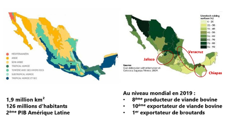 Mexique, premier exportateur mondial de broutards | Actualité Bétail | Scoop.it