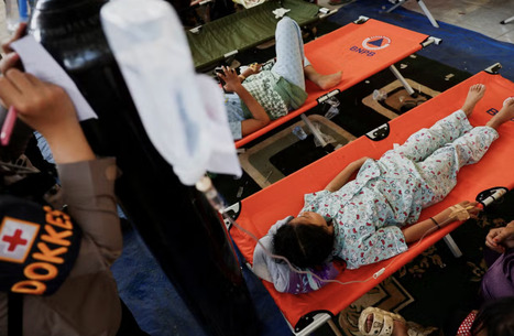 INDONÉSIE : la sécurité alimentaire confiée à l’armée  | ASIES | Scoop.it