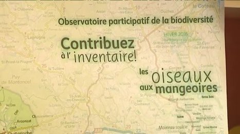 Livradois-Forez: un inventaire pour mieux connaître les oiseaux d'hiver - France 3 Auvergne | Biodiversité | Scoop.it