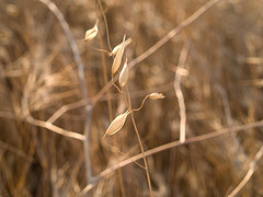 Toujours moins ! | Objection de croissance | Scoop.it