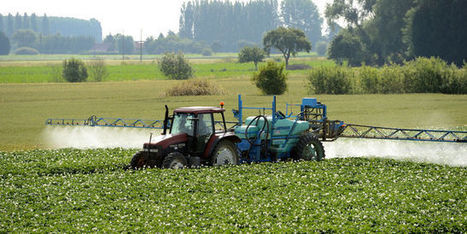 Des pesticides en doses toujours plus massives dans les campagnes | Les Colocs du jardin | Scoop.it