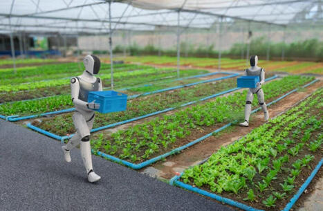 L'ECHO DEMETER : Humano&iuml;des&nbsp;: r&eacute;volutions agricoles et alimentaires&nbsp;? | L'ECHO DEMETER | Scoop.it