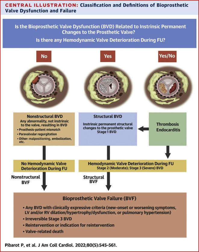 Standardized Definitions for Bioprosthetic Valv...