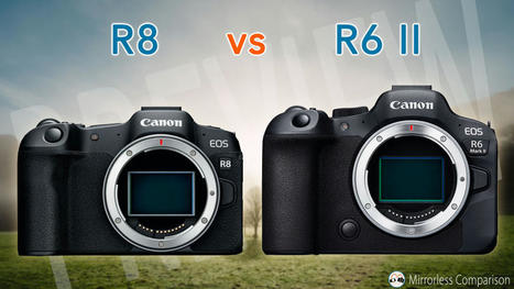 Canon EOS R8 vs R6 mark II - The 10 main differences | Mirrorless Cameras | Scoop.it